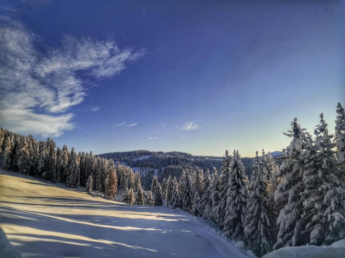 Oberhauser Huette Rodenecker - Luesner Alm Luson Dış mekan fotoğraf